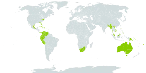 Galphimia gracilis world distribution map, present in Antigua and Barbuda, Australia, Bonaire, Sint Eustatius and Saba, Bangladesh, Bahamas, Barbados, Colombia, Cuba, Dominica, Dominican Republic, Ecuador, Fiji, Guadeloupe, Guam, Haiti, India, Jamaica, Sri Lanka, Mexico, Myanmar, Martinique, Malaysia, Niue, Panama, Peru, Philippines, Papua New Guinea, Puerto Rico, Trinidad and Tobago, United States of America, Venezuela (Bolivarian Republic of), Viet Nam, and South Africa