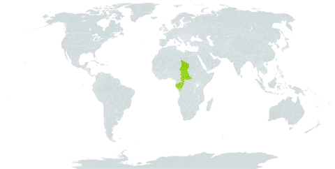 Gambeya beguei world distribution map, present in Central African Republic, Congo, Gabon, Chad, and Uganda