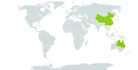 Garcinia world distribution map, present in Australia, China, Panama, and United States of America