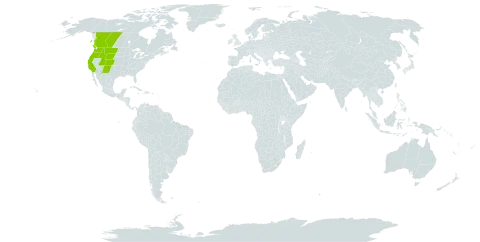 Gaultheria humifusa world distribution map, present in Canada and United States of America