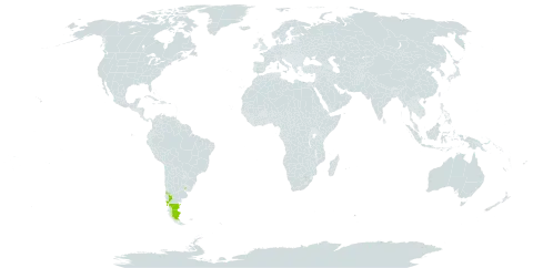 Gaultheria poeppigii var. nana world distribution map, present in Argentina, Chile, and Uruguay