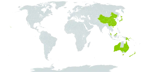 Geniostoma world distribution map, present in Australia, China, Algeria, Japan, Malaysia, New Zealand, Papua New Guinea, and United States of America