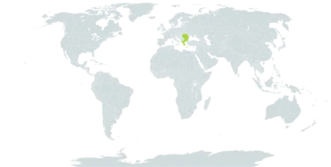 Genista januensis world distribution map, present in Albania, Bulgaria, Greece, and Romania