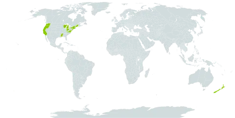 Genista world distribution map, present in New Zealand and United States of America