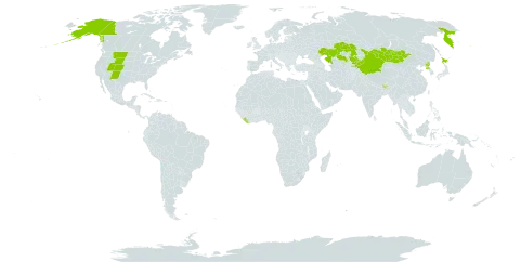 Gentiana algida world distribution map, present in Bhutan, Canada, China, Japan, Kazakhstan, Kyrgyzstan, Liberia, Mongolia, Korea (Democratic People's Republic of), Russian Federation, and United States of America