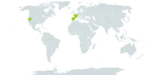 Gentiana alpina world distribution map, present in Andorra, Switzerland, Spain, France, Italy, and United States of America