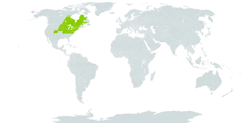 Gentiana andrewsii world distribution map, present in Canada and United States of America