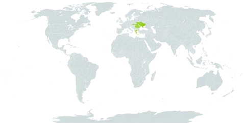 Gentiana cruciata subsp. phlogifolia world distribution map, present in Greece, Romania, Slovakia, and Ukraine