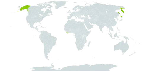 Gentianella auriculata world distribution map, present in Japan, Liberia, Russian Federation, and United States of America