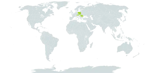 Gentianella austriaca world distribution map, present in Austria, Poland, Romania, and Slovakia