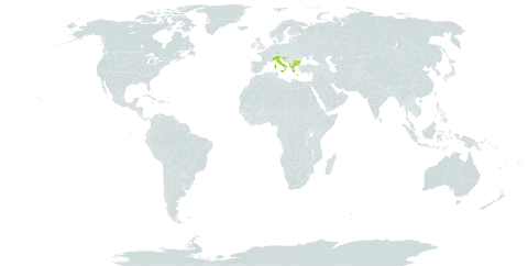 Gentianella crispata world distribution map, present in Albania, Bulgaria, Bosnia and Herzegovina, Greece, Croatia, Italy, North Macedonia, and Serbia