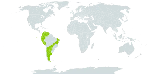 Geoffroea spinosa world distribution map, present in Argentina, American Samoa, Brazil, Colombia, Ecuador, Peru, Paraguay, and Venezuela (Bolivarian Republic of)