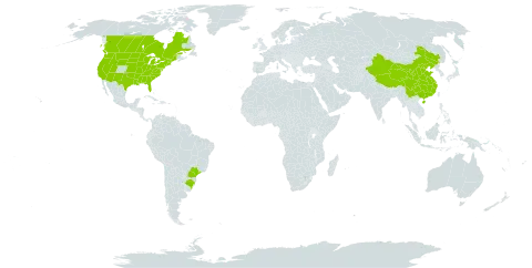 Geranium carolinianum world distribution map, present in Brazil, Canada, China, and United States of America