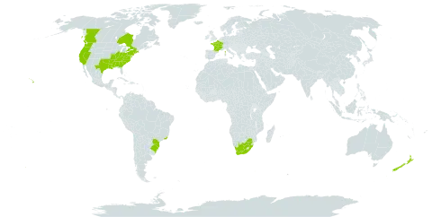 Geranium dissectum world distribution map, present in Brazil, Canada, France, New Zealand, United States of America, and South Africa