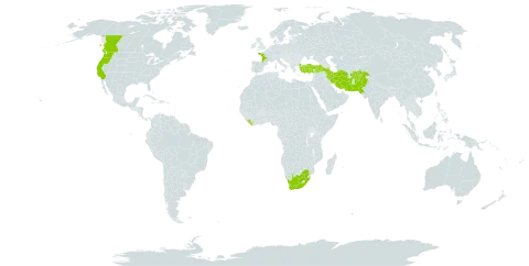 Geranium lucidum world distribution map, present in Afghanistan, Canada, France, Iran (Islamic Republic of), Liberia, Pakistan, Turkey, United States of America, and South Africa