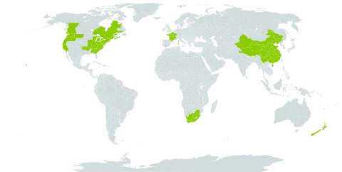 Geranium molle world distribution map, present in Canada, China, France, United Kingdom of Great Britain and Northern Ireland, India, New Zealand, United States of America, and South Africa