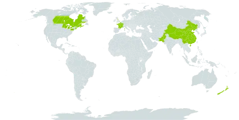 Geranium pratense world distribution map, present in Canada, China, France, United Kingdom of Great Britain and Northern Ireland, Nepal, New Zealand, Pakistan, and United States of America