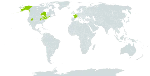 Geranium sanguineum world distribution map, present in Canada, France, United Kingdom of Great Britain and Northern Ireland, and United States of America