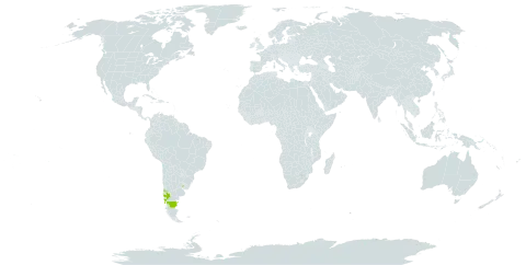 Gevuina avellana world distribution map, present in Argentina, Chile, and Uruguay