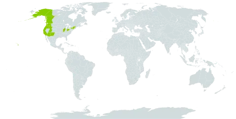 Gilia capitata world distribution map, present in Canada and United States of America