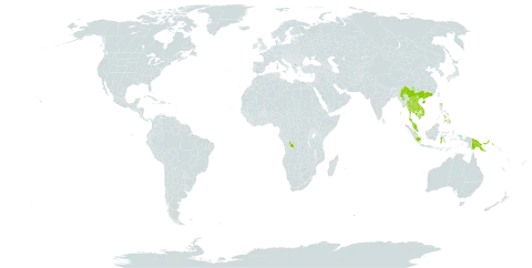 Gironniera subaequalis world distribution map, present in Brunei Darussalam, China, Congo (Democratic Republic of the), Hong Kong, Indonesia, Isle of Man, India, Cambodia, Lao People's Democratic Republic, Myanmar, Malaysia, Philippines, Papua New Guinea, Singapore, Thailand, and Viet Nam