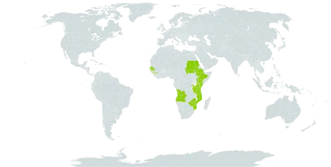 Gladiolus dalenii subsp. andongensis world distribution map, present in Angola, Burkina Faso, Ethiopia, Guinea, Kenya, Mozambique, Rwanda, Sudan, Senegal, Tanzania, United Republic of, Uganda, and Zimbabwe