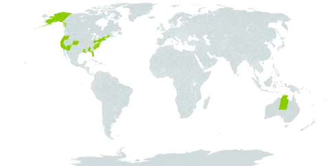 Glebionis world distribution map, present in Australia and United States of America