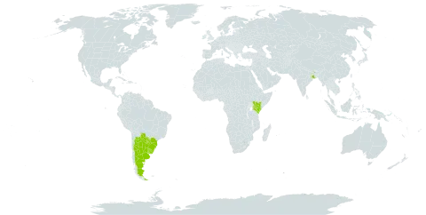 Gleditsia amorphoides world distribution map, present in Argentina, Brazil, India, Kenya, Paraguay, and Uruguay