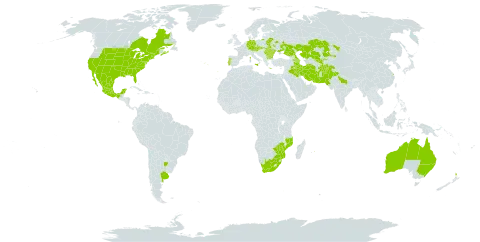 Gleditsia triacanthos world distribution map, present in Afghanistan, Argentina, Armenia, Australia, Austria, Azerbaijan, Bulgaria, Belarus, Canada, China, Czech Republic, Germany, France, Greece, India, Iran (Islamic Republic of), Iraq, Italy, Kazakhstan, Moldova (Republic of), Mexico, Mozambique, Mauritius, New Zealand, Pakistan, Portugal, Romania, Russian Federation, Slovakia, Tajikistan, Uganda, Ukraine, United States of America, Uzbekistan, South Africa, and Zimbabwe