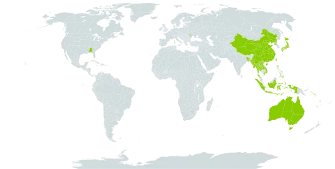 Glochidion world distribution map, present in Andorra, Australia, Bangladesh, China, Indonesia, Japan, Lao People's Democratic Republic, Moldova (Republic of), Myanmar, Philippines, Korea (Democratic People's Republic of), Solomon Islands, Thailand, Taiwan, Province of China, United States of America, Viet Nam, and Vanuatu