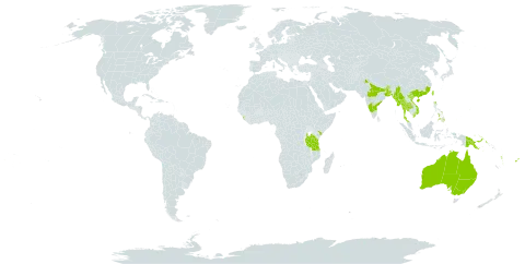 Glossocardia bidens world distribution map, present in Australia, Bangladesh, Bhutan, China, Fiji, Micronesia (Federated States of), Guam, India, Kenya, Sri Lanka, Myanmar, Northern Mariana Islands, Nepal, Philippines, Palau, Papua New Guinea, Thailand, Taiwan, Province of China, Tanzania, United Republic of, United States of America, Viet Nam, and Vanuatu