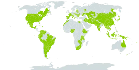 Glycine max world distribution map, present in Afghanistan, Argentina, American Samoa, Australia, Azerbaijan, Bonaire, Sint Eustatius and Saba, Bulgaria, Belarus, Bolivia (Plurinational State of), Brazil, Bhutan, Canada, China, Colombia, Czech Republic, Dominican Republic, Ecuador, Egypt, Spain, Estonia, Ethiopia, Fiji, France, Georgia, Guatemala, Haiti, Hungary, Indonesia, India, Iran (Islamic Republic of), Iraq, Italy, Jamaica, Japan, Kazakhstan, Kenya, Korea (Republic of), Lao People's Democratic Republic, Sri Lanka, Lithuania, Latvia, Morocco, Moldova (Republic of), Mexico, Myanmar, Mongolia, Mauritius, Malaysia, Nigeria, Nepal, New Zealand, Pakistan, Peru, Philippines, Papua New Guinea, Paraguay, Romania, Russian Federation, Singapore, Slovakia, Thailand, Tajikistan, Turkmenistan, Taiwan, Province of China, Tanzania, United Republic of, Ukraine, Uruguay, United States of America, Uzbekistan, Venezuela (Bolivarian Republic of), Viet Nam, South Africa, Zambia, and Zimbabwe