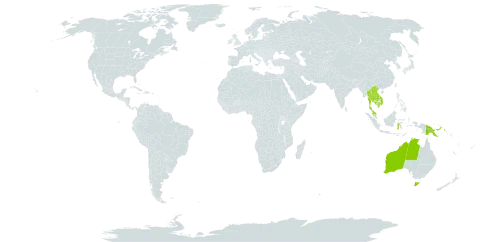 Glycosmis macrophylla world distribution map, present in Australia, Indonesia, Cambodia, Lao People's Democratic Republic, Myanmar, Malaysia, Papua New Guinea, Thailand, and Viet Nam