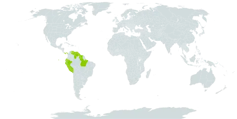 Gongora atropurpurea world distribution map, present in Brazil, Ecuador, Guyana, Panama, Peru, Suriname, and Venezuela (Bolivarian Republic of)