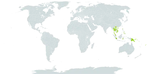 Goniophlebium persicifolium world distribution map, present in China, Fiji, Micronesia (Federated States of), Guam, Indonesia, Northern Mariana Islands, Malaysia, Philippines, Papua New Guinea, Solomon Islands, Thailand, and Viet Nam