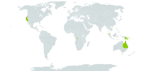 Gonocarpus chinensis world distribution map, present in Australia, China, Congo (Democratic Republic of the), Micronesia (Federated States of), Hong Kong, Indonesia, Malaysia, Philippines, Papua New Guinea, Puerto Rico, Singapore, Uruguay, and United States of America