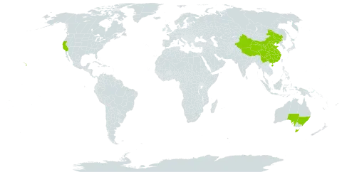 Gonocarpus world distribution map, present in Australia, China, and United States of America