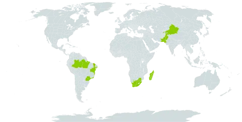 Gossypium herbaceum world distribution map, present in Brazil, China, Madagascar, Pakistan, Tajikistan, and South Africa