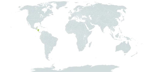 Graffenrieda gentlei world distribution map, present in Belize and Nicaragua