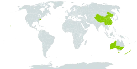 Grammitis world distribution map, present in Australia, China, New Zealand, and United States of America