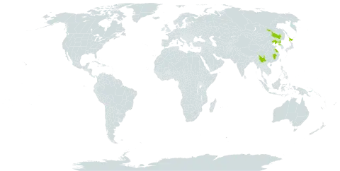 Gratiola japonica world distribution map, present in China, Japan, and Korea (Democratic People's Republic of)