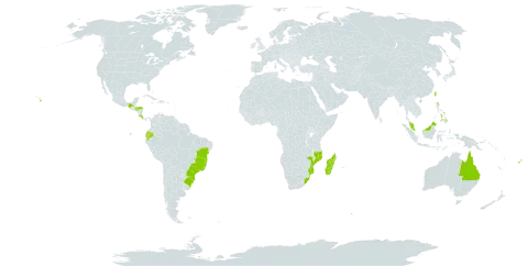 Grevillea banksii world distribution map, present in Australia, Brazil, Costa Rica, Ecuador, Fiji, Honduras, Iceland, Madagascar, Mexico, Mozambique, Montserrat, Mauritius, Malaysia, Philippines, Réunion, Taiwan, Province of China, United States of America, and South Africa