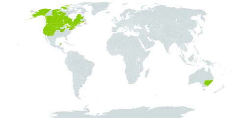 Grindelia hirsutula world distribution map, present in Australia, Canada, United Kingdom of Great Britain and Northern Ireland, Mexico, and United States of America