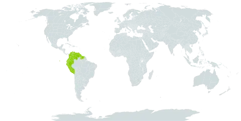 Guzmania altsonii world distribution map, present in Colombia, Ecuador, Guyana, Peru, Suriname, and Venezuela (Bolivarian Republic of)