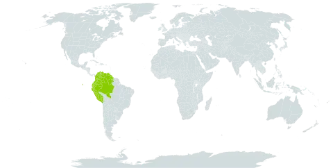 Guzmania brasiliensis world distribution map, present in Brazil, Colombia, Ecuador, Guyana, Peru, and Venezuela (Bolivarian Republic of)