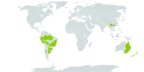 Gymnocoronis spilanthoides world distribution map, present in Argentina, Australia, Bolivia (Plurinational State of), Brazil, China, New Zealand, Peru, Paraguay, Taiwan, Province of China, and Uruguay