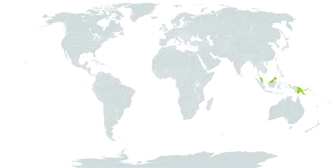 Gymnosiphon papuanus world distribution map, present in Micronesia (Federated States of), Hong Kong, Malaysia, Papua New Guinea, and United States of America