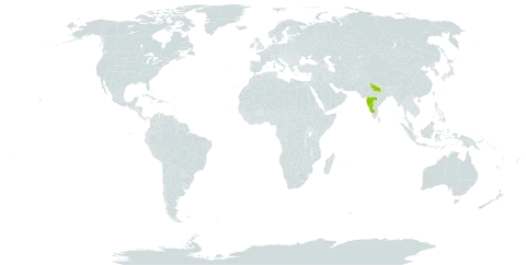 Gymnosporia puberula world distribution map, present in India