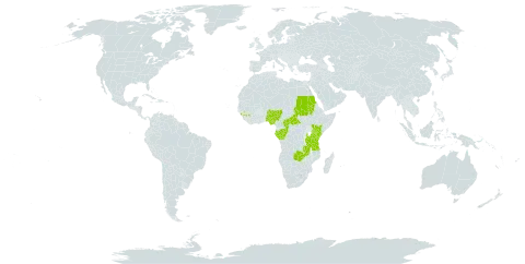 Habenaria walleri world distribution map, present in Burkina Faso, Central African Republic, Congo, Gabon, Guinea, Kenya, Nigeria, Sudan, Tanzania, United Republic of, Uganda, and Zambia