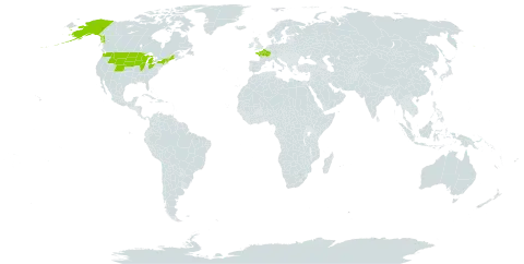 Hackelia deflexa world distribution map, present in France and United States of America